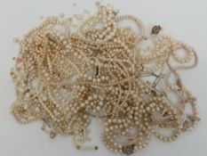 A collection of pearl necklaces including a double strand with 14k white gold clasp set with