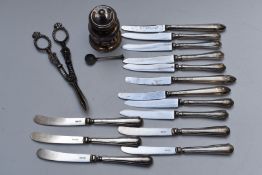 Fourteen hallmarked silver handled knives, hallmarked silver salt spoon, pair of silver plated grape