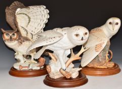Three Franklin Mint owls Snowy, Barn and Horned, all with wooden bases, tallest 36cm