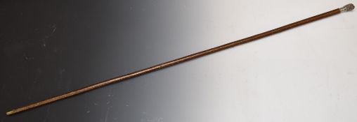 Vintage shooting stick with silver plated finial in the form of a dog engraved to the collar '