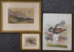 Three watercolours of birds, one a pair of grouse on the ground, 8 x 10cm, another a grouse in