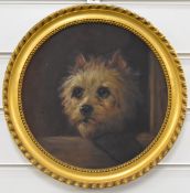 Oil on board of a terrier, diameter 25cm