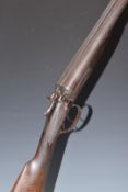 William Moore Gray 12 bore side by side hammer action shotgun with named and engraved locks,