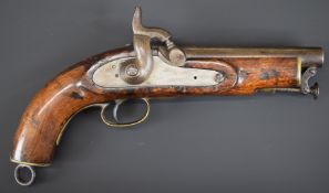 Percussion hammer action sea service or coastguard style pistol with captive ramrod, brass trigger