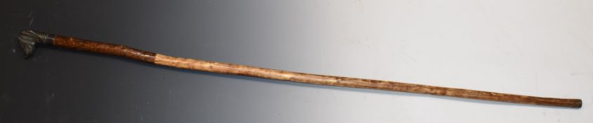 Victorian walking stick with bronze dog head / spaniel finial