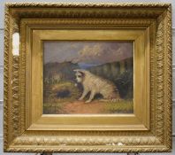 G Langton oil on board of a terrier by rabbit hole, 19 x 24cm