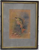 W.H. Austin (Royal Worcester artist 1891-1971), watercolour study of a perch, signed lower right, 19