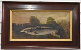 Oil on canvas study of four salmon/trout with river landscape beyond, indistinctly signed lower