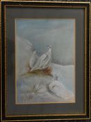 James Stinton (Royal Worcester artist 1870-1961), watercolour study of two white grouse in a snowy