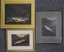 Three oil on board studies of fish, one of the days catch with fishing reel, net and creel on the