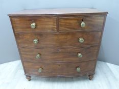19thC mahogany bow fronted chest of two over three graduated drawers, W106 x D56 x H104cm