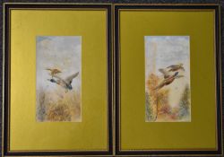 William E Powell (Royal Worcester artist), pair of watercolour studies of birds in flight, both