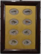 Framed set of eight watercolours of tied salmon fishing flies, each monogramed MB, with gilt mount