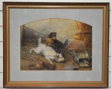 George Armfield (1808-1983) pair of chained terriers trying to catch a rat, 34 x 46cm