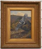 M. Heywood oil on canvas study of a grouse in flight with river landscape beyond, signed lower