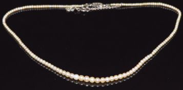 Victorian single strand of natural pearls with an 18ct white gold clasp, in original Boodle &