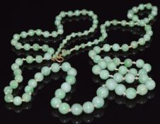 A c1900 necklace made up of 119 graduated circular jade beads, 61.6g