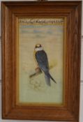 Persian watercolour of a falcon, 22 x 10cm