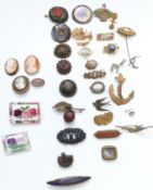 A collection of brooches including lucite, Victorian agate, cameos, saphirite brooch, etc