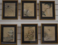A set of six late 19th/20thC Chinese watercolours of birds, 22.5 x 17.5cm