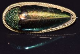 Victorian brooch set with a beetle, 4 x 1.6cm