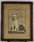 Early 20thC watercolour of a terrier and cat on a table, signed and dated H Bowles 1902 lower right,