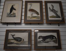 Johann Jakob Haid (1704-1767) group of five hand-coloured engravings (c1740s) comprising The