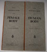 Philip's Anatomical Model of the Human Body, originally edited by William S Furneaux, together