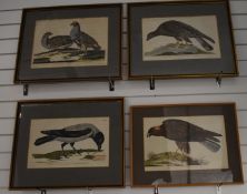 Johann Jakob Haid (1704-1767) group of four hand-coloured engravings (c1740s) comprising Honey-