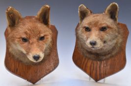 Pair of F E Potter of Billesdon Leicester taxidermy studies of fox masks, both mounted on wooden