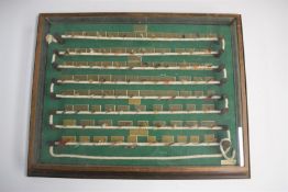 A glazed display case of annotated fishing flies including trout, salmon and sea trout examples,