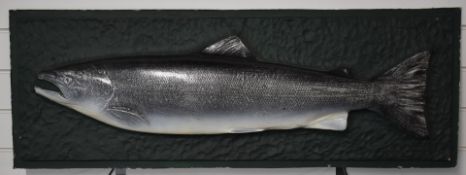 Fiberglass cast of salmon 38 x 107cm.