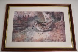 Four Archibald Thorburn limited edition prints of game birds including pheasants, woodcock and