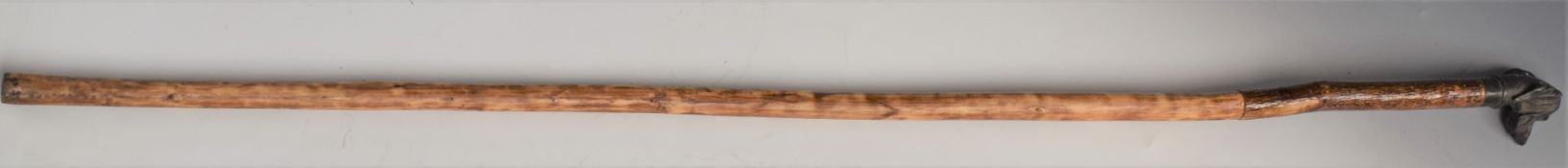 A vintage walking stick with bronze dog head handle
