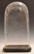 Large glass dome on fitted base suitable for taxidermy, clocks etc, W28 x D23 x H50cm