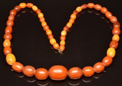 A single strand of graduated oval Baltic amber beads, 41g