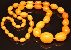 A single strand of graduated oval Baltic amber beads, 98g