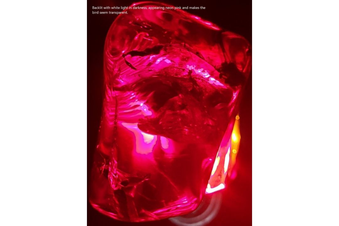 A Burmite Amber fossil specimen containing a red bird from the age of the dinosaurs - Image 2 of 6