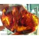 A Burmite Amber fossil specimen containing a red bird from the age of the dinosaurs - Image 1 of 6