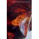 A Burmite Amber fossil specimen containing a red bird from the age of the dinosaurs - Image 3 of 6