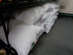 Twenty one pillows (un-used)
