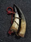Two horn flasks