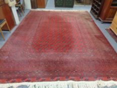 A Tekke carpet
