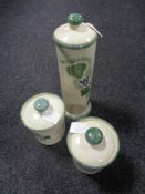 A Poole Pottery hand painted 'Grape' pattern lidded spaghetti jar,