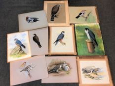 James Deacon : Portrait of a bird of prey perched on a leather flask, oil on board, 45 cm x 33 cm,