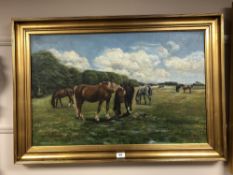 Continental School : Horse in a field, oil on canvas, 80 cm x 50 cm, indistinctly signed, framed.
