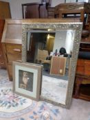 A decorative gilt framed bevel edged overmantel mirror together with a framed photograph of an owl.