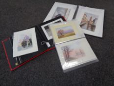 Three albums containing Pauline Cooney watercolours