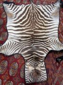 A Zebra skin rug