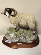 A Border Fine Arts figure, 'Blackie Tup', Limited Edition figure No.